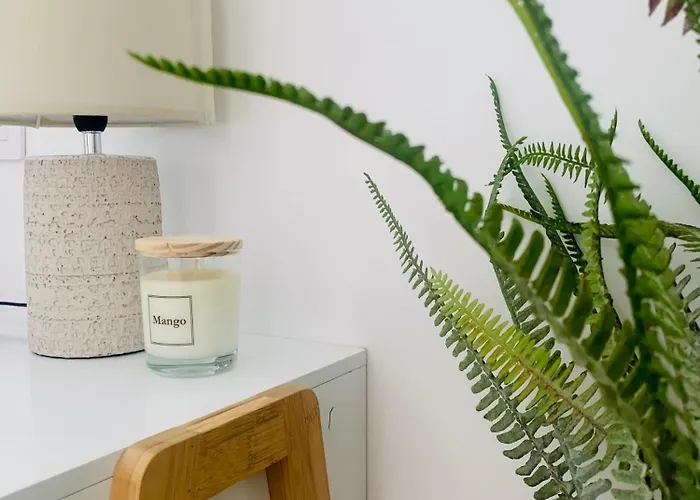 アパート Ocean View Luxury Americas プラヤ・デ・ラス・アメリカス